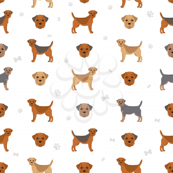 Border terrier seamless pattern. Different coat colors and poses set.  Vector illustration