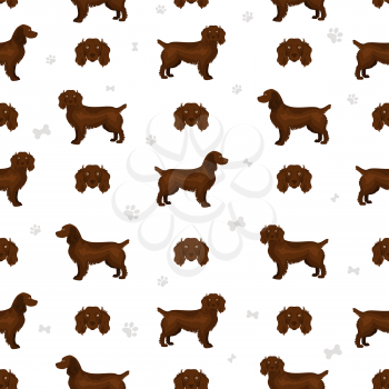Boykin spaniel seamless pattern. Different coat colors and poses set.  Vector illustration