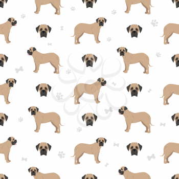 Bullmastiff seamless pattern. Different coat colors and poses set.  Vector illustration