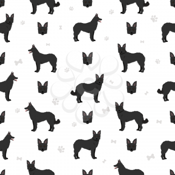 Croatian sheepdog seamless pattern. Different poses, coat colors set.  Vector illustration