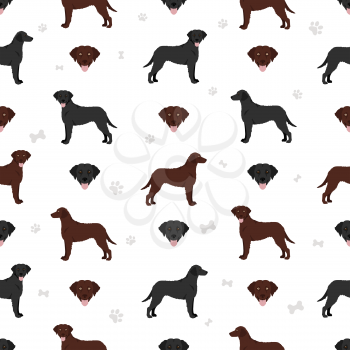 Curly coated retriever seamless pattern. Different poses, coat colors set.  Vector illustration