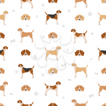 English foxhound seamless pattern. Different poses, coat colors set.  Vector illustration