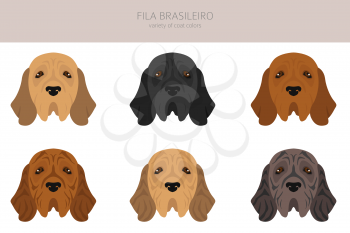Fila Brasileiro clipart. Different poses, coat colors set.  Vector illustration