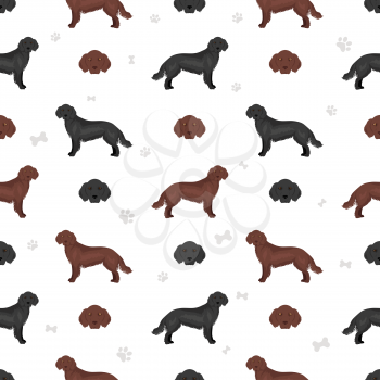 Flat coated retriever seamless pattern. Different poses, coat colors set.  Vector illustration