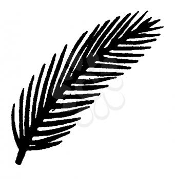 Royalty Free Clipart Image of a Feather