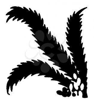 Royalty Free Clipart Image of Feathery Leaves
