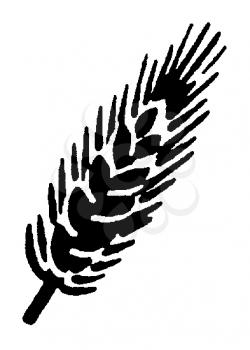 Royalty Free Clipart Image of a Grain