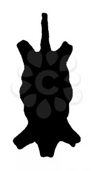 Royalty Free Clipart Image of a  Animal Skin
