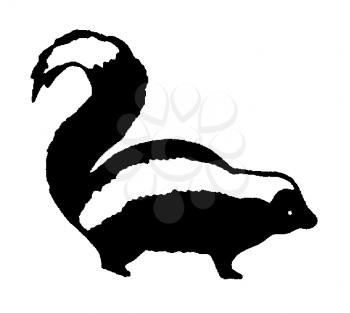 Royalty Free Clipart Image of a Skunk