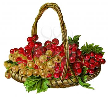 Royalty Free Clipart Image of a Basket of Fruit