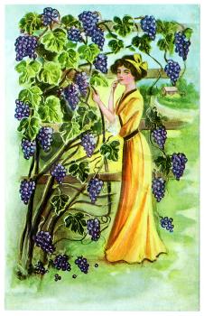 Royalty Free Clipart Image of a Woman with Grapes