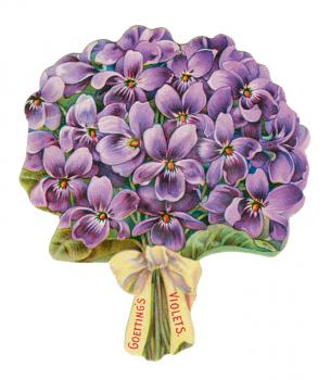 Royalty Free Photo of a Bouquet of Violets 