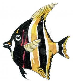 Royalty Free Clipart Image of an Angelfish