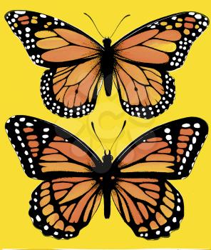 Royalty Free Clipart Image of Monarch Butterflies 