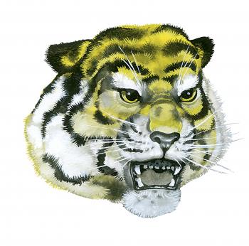 Royalty Free Clipart Image of a Tiger 
