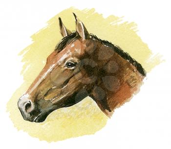 Royalty Free Clipart Image of a Horse 