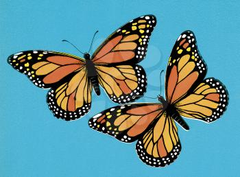 Royalty Free Clipart Image of a Pair of Monarch Butterflies