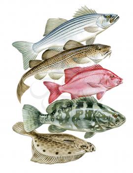 Royalty Free Clipart Image of a Group of Fish 