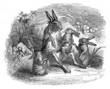 Royalty Free Clipart Image of Rabbits