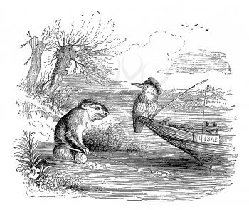 Royalty Free Clipart Image of a Beaver Talking to a Bird Fishing from a Boat