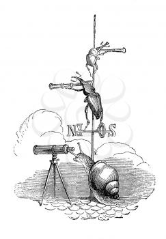 Royalty Free Clipart Image of Bugs With Telescopes