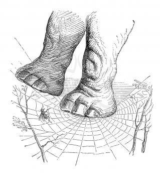 Royalty Free Clipart Image of Elephant Feet on a Web