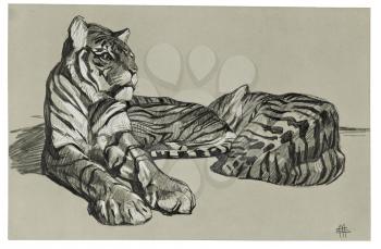 Royalty Free Clipart Image of Tigers Laying down 