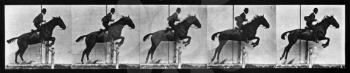Royalty Free Photo of a Jumping Horse and Rider
