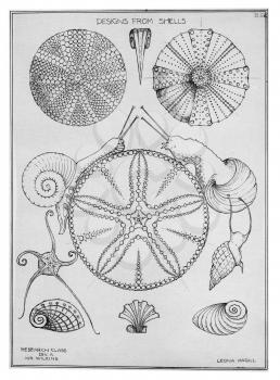 Royalty Free Clipart Image of Designs from Seashells 