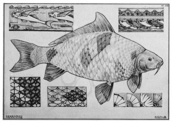 Royalty Free Clipart Image of Fish Designs