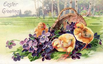 Royalty Free Clipart Image of Spring Chicks and a Basket of Flowers
