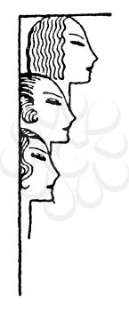 Royalty Free Clipart Image of Women's heads