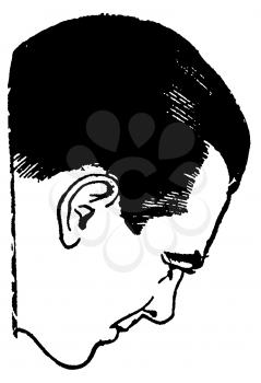 Royalty Free Clipart Image of a Man's Fae in Profile