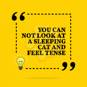 Inspirational motivational quote. You can not look at a sleeping cat and feel tense. Black text over yellow background 