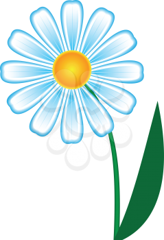Illustration of beautiful flower on a white background
