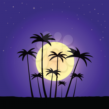 Illustration moon summer night with palm trees