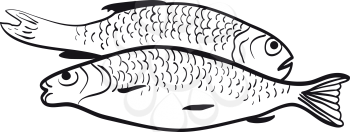 Illustration of the contour of two fish on a white background