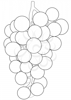 Illustration of a bunch of grapes on a white background