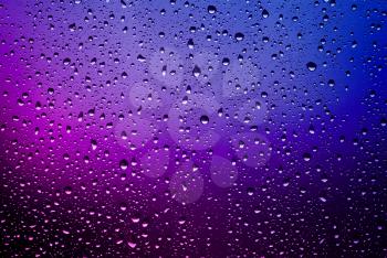 Raindrops on a window pane. Purple lights.