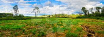Panorama view of field of green grass and blue sky. Panoramic rural landscape. Summer sunny day in the countryside.