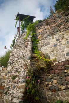 Old high stone wall with vines and ivy