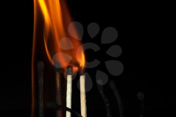 Burning match on a black background. Build a fire.