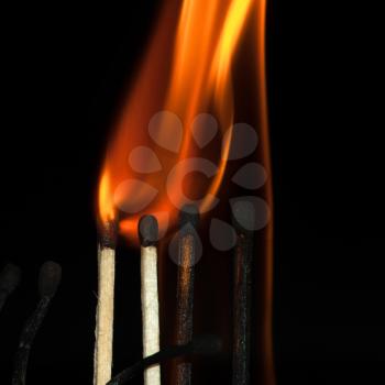 Burning matches on a black background. Bright fire.