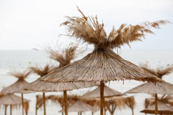 Straw beach umbrellas on a background of the cloudless sky