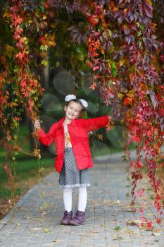Little girl child in a red jacket with bows on her head. Girl in the park against the backdrop of autumn foliage. Vertical shot.