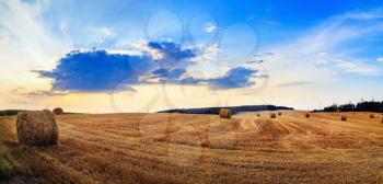 Hay bales on field. Rural landscape with haystacks. Autumn field with hay bales after harvest. Rural landscape with haystacks against the backdrop of a beautiful sunset sky
