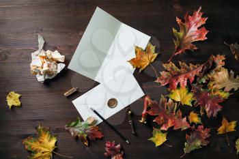 Vintage stationery set. Blank envelope, sealing wax, postcard, stamp, pencil, spoon and autumn maple leaves on wood background. Flat lay.