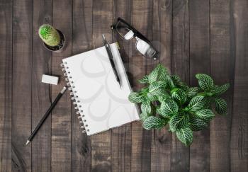 Stationery and plants on vintage wooden table background. Responsive design mockup. Flat lay.