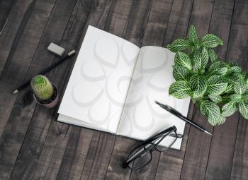 Blank open book, plants and stationery on wooden background. Responsive design mockup.