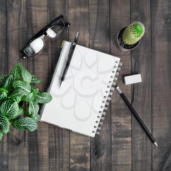 Photo of blank stationery and plants on wood table background. Responsive design mockup. Flat lay.